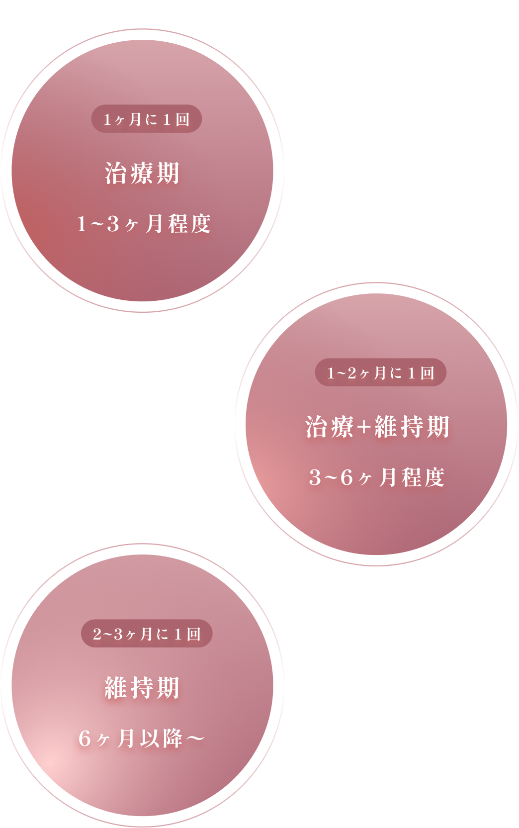 1ヶ月に1回の治療期を1〜3ヶ月程度、1〜2ヶ月に1回の治療+維持期を3〜6ヶ月程度、6ヶ月以降は2〜3ヶ月に1回の維持期
